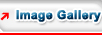 Image Gallery