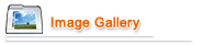 Image Gallery